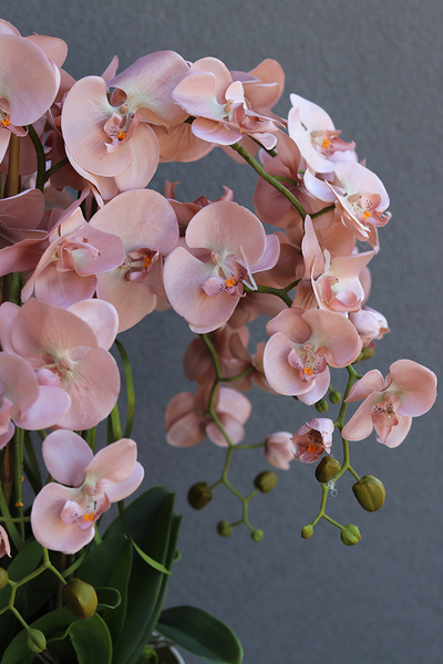Mediolan Cappucino, sztuczny storczyk w wysokiej białej donicy, wys.115cm