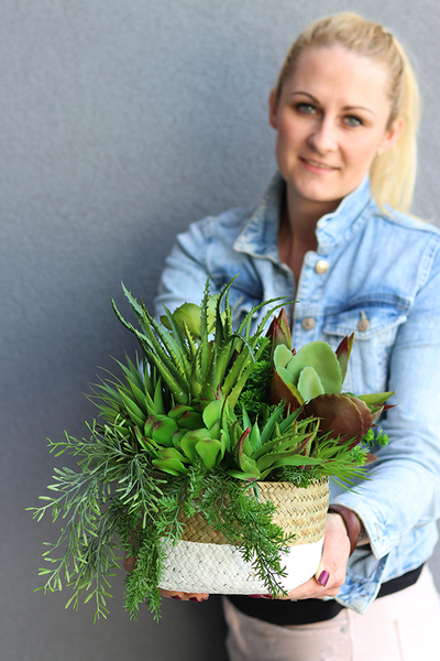 Telimena, efektowna kompozycja Sukulenty w koszu, wys.26cm