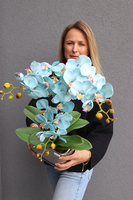 Blue Renolia, turkusowy storczyk w lustrzanej donicy, wys.60cm