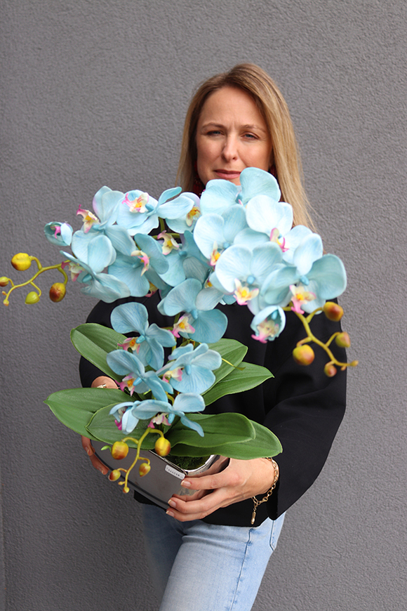 Blue Renolia, turkusowy storczyk w lustrzanej donicy, wys.60cm 