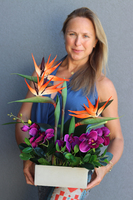 kompozycja ze strelicją i storczykiem, Jedlano, wys.53cm