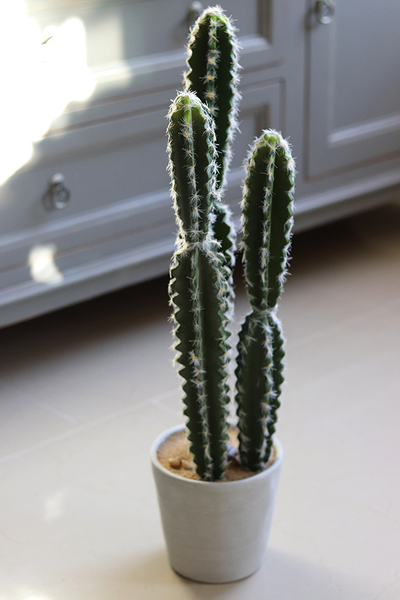 Kaktus Mexico, sztuczna roślina, wys.64cm 