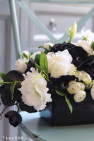 Black & White, dwukolorowa kompozycja kwiatowa, rozp.55cm 