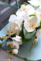 Dekoria Mantina, storczyk kompozycja kwiatowa w podłużnym naczyniu, dł.60cm 