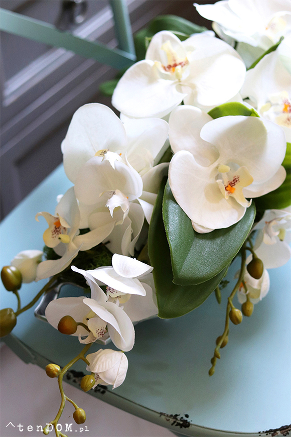 Dekoria Mantina, storczyk kompozycja kwiatowa w podłużnym naczyniu, dł.60cm 