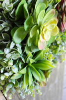 wianek dekoracyjny z kaktusami Sukulent 3, śr.36cm  