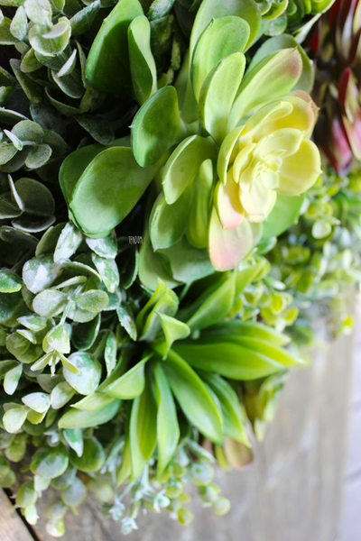 wianek dekoracyjny z kaktusami Sukulent 3, śr.36cm  