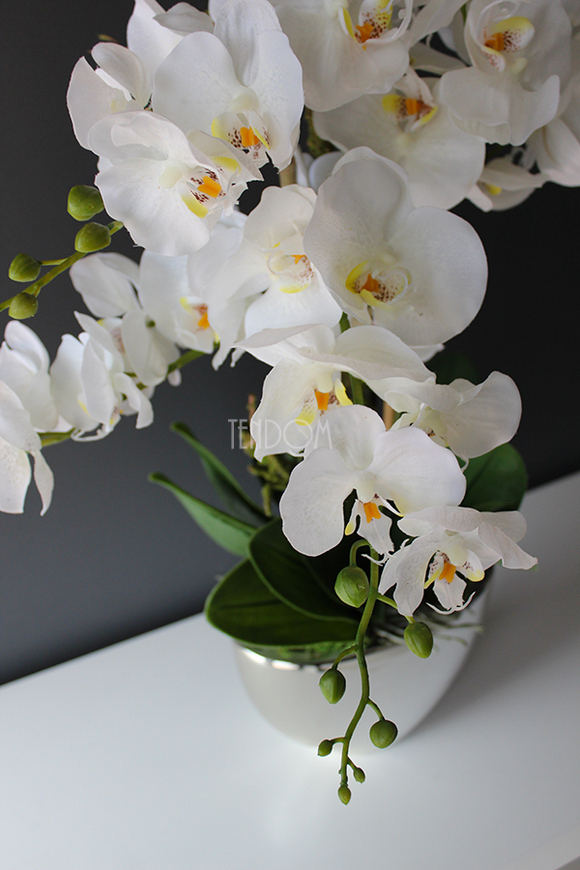 sztuczny storczyk Cinderella Silver w srebrnej donicy, wys.65cm