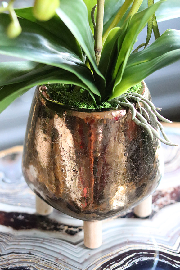 Luizjana, pięknie wybarwiony storczyk w donicy na nóżkach, wys.56cm