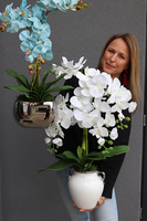 Blue Renolia, turkusowy storczyk w lustrzanej donicy, wys.60cm