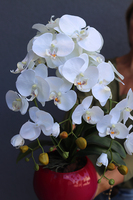 Różowa Łuna, sztuczny storczyk w amarantowej donicy, wys.59cm