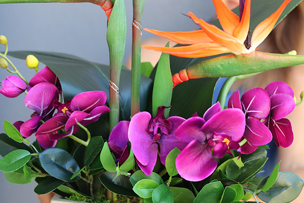 kompozycja ze strelicją i storczykiem, Jedlano, wys.53cm