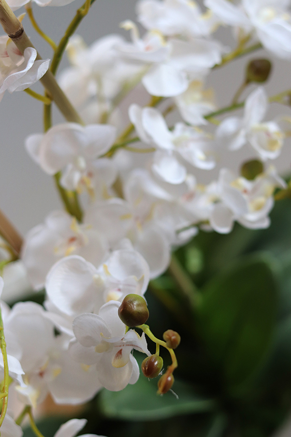 elegancki storczyk w szarej donicy, Moderno Perono, wys.56cm