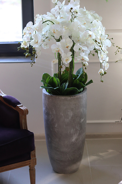 duży sztuczny storczyk Grande Concrete w betonowej donicy, wys.137cm 