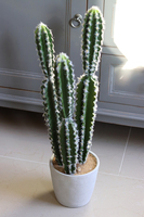 Kaktus Mexico, sztuczna roślina, wys.64cm 