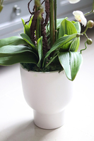 Alora Kaskada, sztuczny storczyk w białej donicy, wys.80cm 