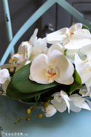 Dekoria Mantina, storczyk kompozycja kwiatowa w podłużnym naczyniu, dł.60cm 