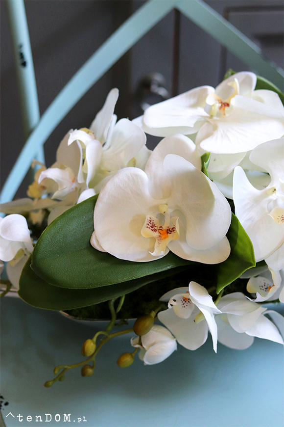 Dekoria Mantina, storczyk kompozycja kwiatowa w podłużnym naczyniu, dł.60cm