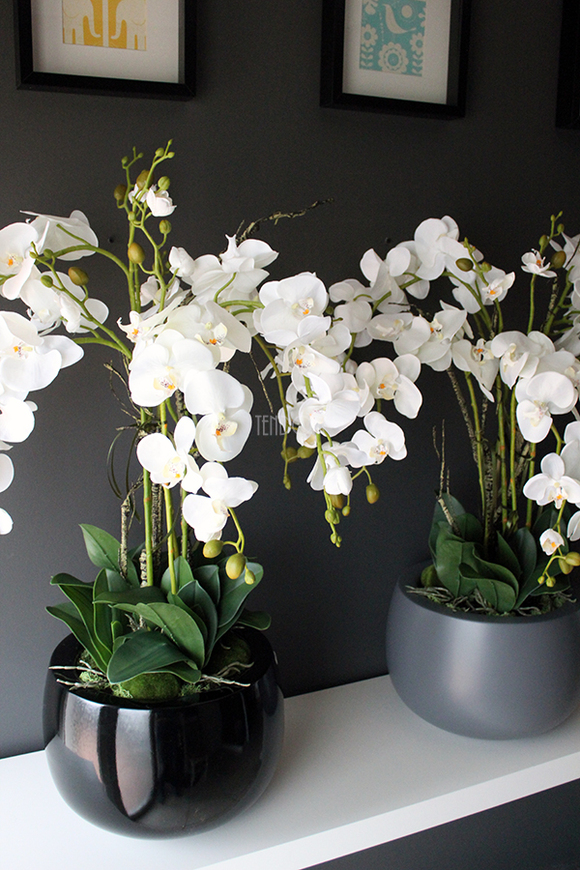 efektowny storczyk Fiberglass Grande Grey Matt w szarej matowej donicy, wys.85cm