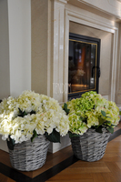 bogaty kosz z zielonymi hortensjami Provance 48x48cm  