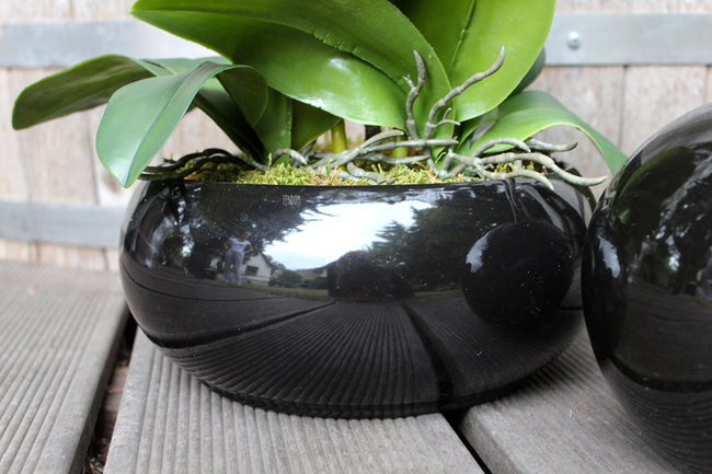 storczyk w czarnej okrągłej donicy Black 3, wys.60cm