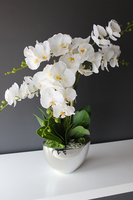 sztuczny storczyk Cinderella Silver w srebrnej donicy, wys.65cm