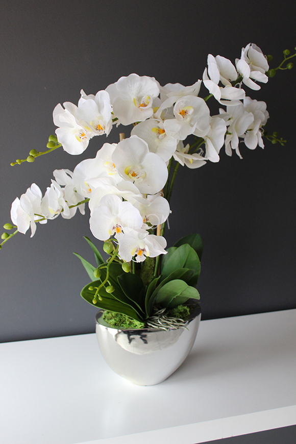 sztuczny storczyk Cinderella Silver w srebrnej donicy, wys.65cm