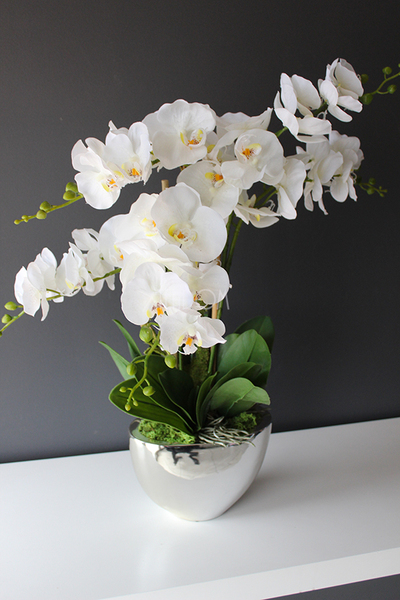 sztuczny storczyk Cinderella Silver w srebrnej donicy, wys.65cm