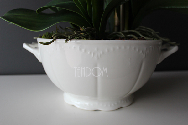 storczyk Waza Fuksja w ciekawej donicy - wazie porcelanowej, wys.49cm