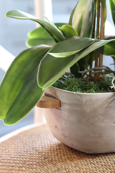 elegancki storczyk w szarej donicy, Moderno Perono, wys.56cm