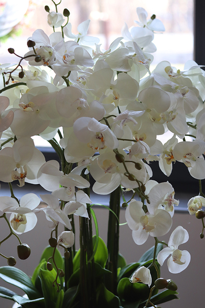 duży sztuczny storczyk Grande Concrete w betonowej donicy, wys.137cm 