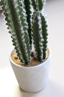 Kaktus Mexico, sztuczna roślina, wys.64cm 