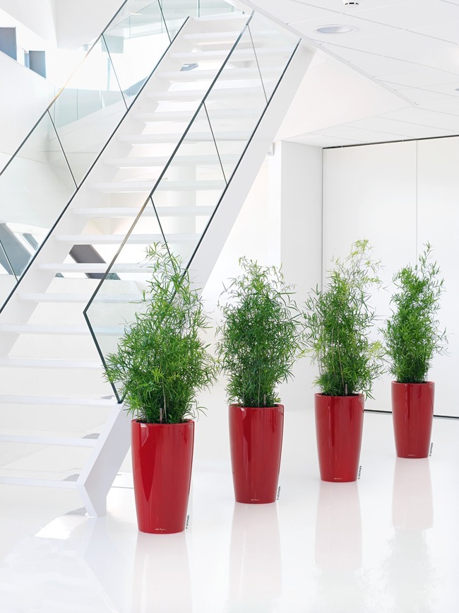 Rondo, wysoka donica z nawadnianiem, czerwona, wym.75x40cm