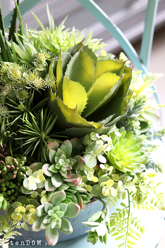 Elodia Siena, kompozycja sukulenty w eleganckiej misie, wym.30x35cm