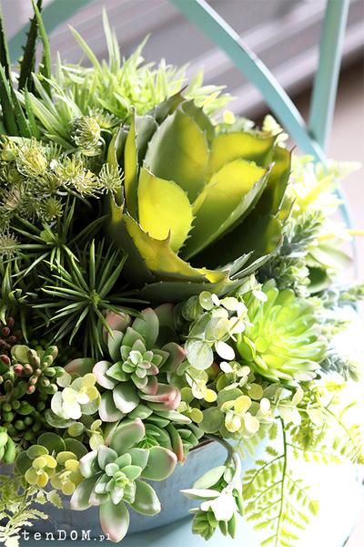 Elodia Siena, kompozycja sukulenty w eleganckiej misie, wym.30x35cm