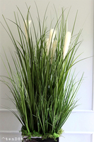 Amaro Saute 2, kompozycja we wkładzie florystycznym, wys.104cm