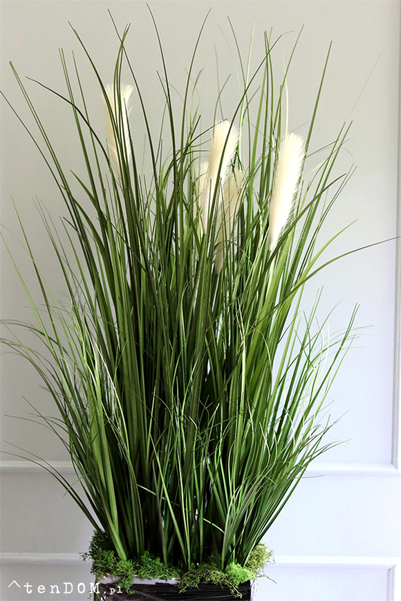 Amaro Saute 2, kompozycja we wkładzie florystycznym, wys.104cm