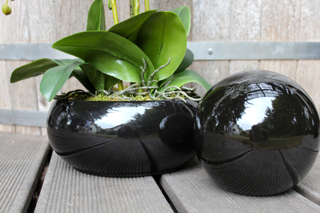 storczyk w czarnej okrągłej donicy Black 3, wys.60cm