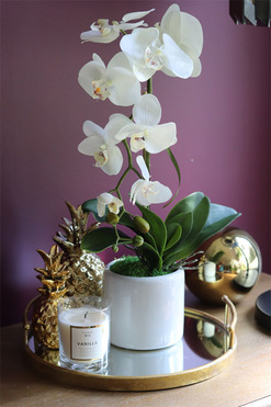 biały sztuczny storczyk, Naomi Mini White, wys.54cm