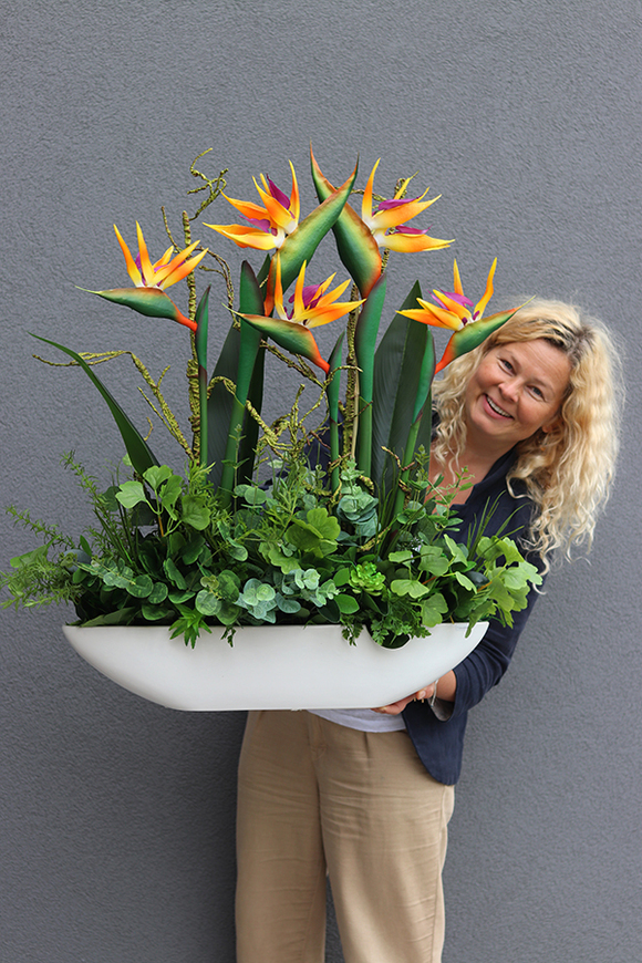 Big Laos Sukulenty & Strelicja, egzotyczna kompozycja w białej donicy, wym.82x75cm