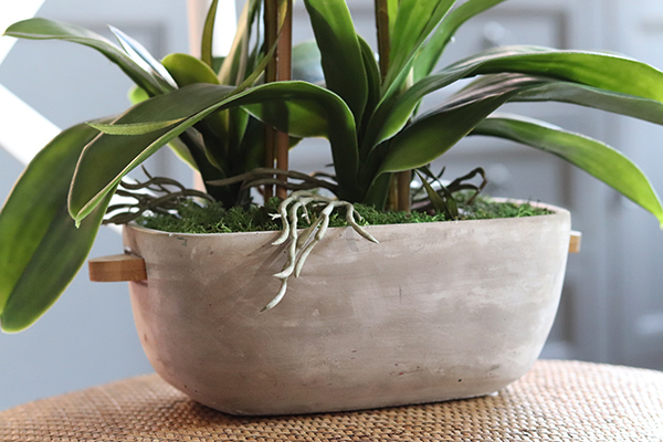 elegancki storczyk w szarej donicy, Moderno Perono, wys.56cm