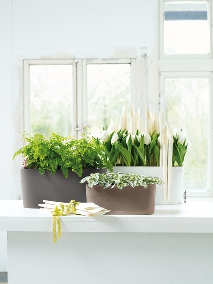 Delta 10, podłużna donica z nawadnianiem, fioletowa, wym.13x30x11cm