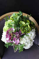 flowerbox Hortensja Premium wym. 54x40cm