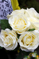 bukiet 6 szt. kremowych róż, wys.26cm