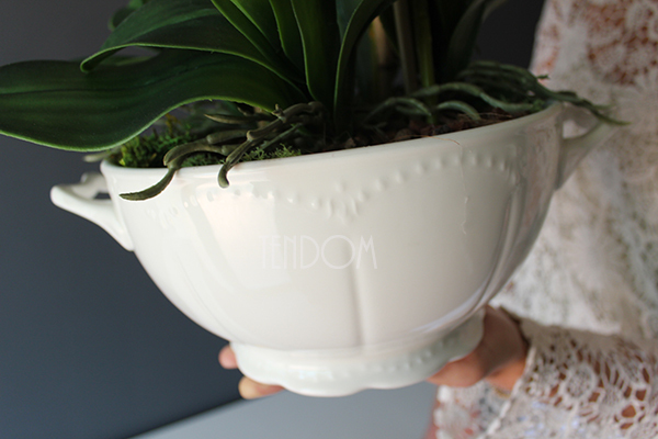 storczyk Waza Fuksja w ciekawej donicy - wazie porcelanowej, wys.49cm