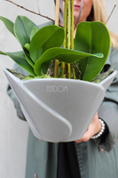 różowy storczyk Flower w asymetrycznej donicy w kształcie kwiatu, wys.60cm