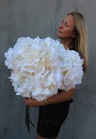bukiet biało - śmietankowych hortensji, Leonna, wys.98cm