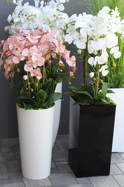 Mediolan Cappucino, sztuczny storczyk w wysokiej białej donicy, wys.115cm