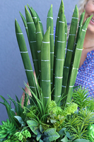 Laos Sukulenty New, egzotyczna kompozycja z sansewierią w białej donicy, wys.63cm