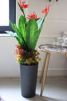 oryginalna kompozycja Strelicja Genassa Red, wym.145cm